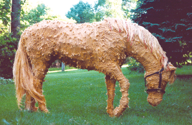 HayBurner 2002